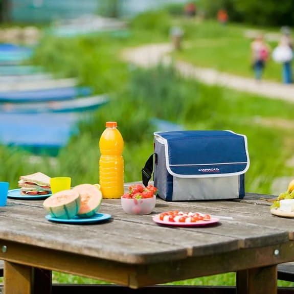 Borsa Frigo Campingaz Fold'n Cool 10L Blu Navy Bianco Grigio 4 Borsa Frigo Campingaz Fold'n Cool 10L Blu Navy Bianco Grigio - immagine 2