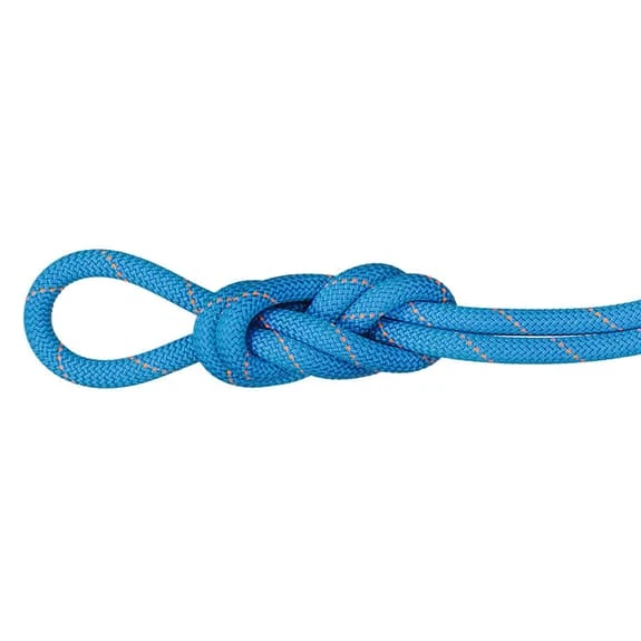 Corda Singola Mammut Gym Workhorse Dry Standard 9.9 Mm 50 M Blu 3 Corda Singola Mammut Gym Workhorse Dry Standard 9.9 Mm 50 M Blu