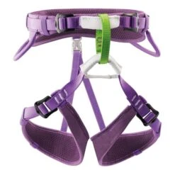 Imbracatura Petzl Macchu Viola Bambini